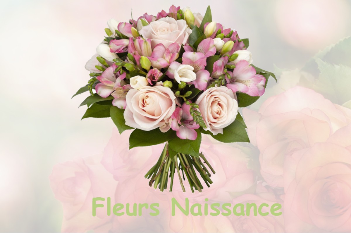 fleurs naissance LA-CROIX-SUR-GARTEMPE